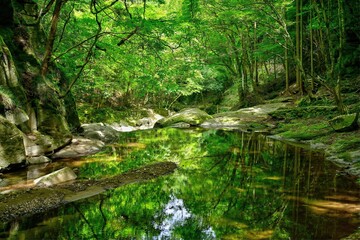 新緑映す赤目四十八滝渓流の情景＠三重
