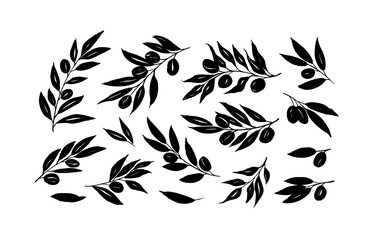 Olive branches with long leaves vector collection. Set of black silhouettes leaves and tree branches. Hand drawn foliage, herbs, tree twig. Vector ink elements isolated on white background. 