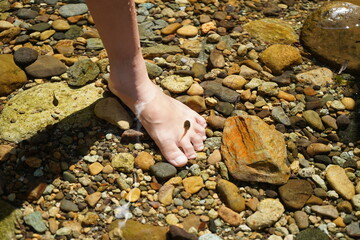 おたまじゃくし　裸足　川遊び　水辺の生き物　河原