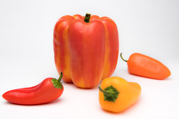 Variegated pepper red and yellow with mini peppers on white background. Health Concept