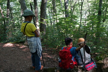 白神山地　歩く　ハイキング　観光　トレッキング　世界遺産　森