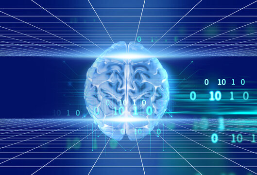 3d rendering of human  brain on programming language background