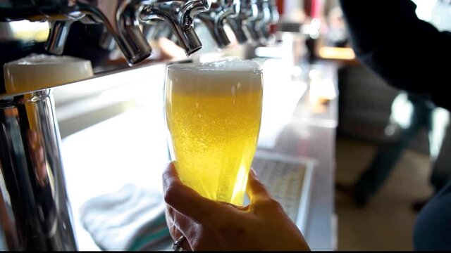 A bartender pours a beer into a pint glass out of a draft tap.