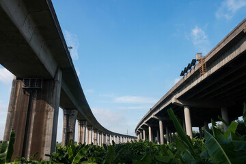 A train running on a viaduct
