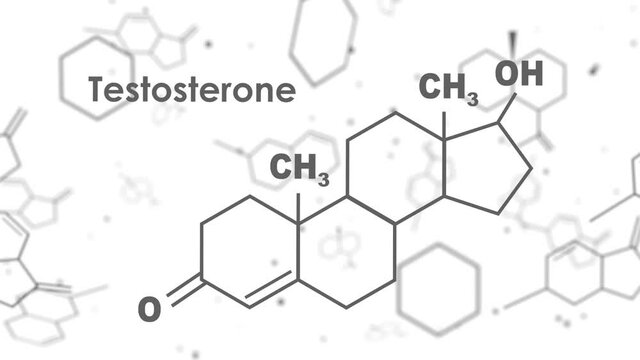Chemical molecular formula hormone testosterone. Infographics animation.