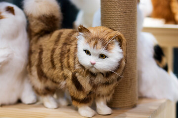 lovely toy cats