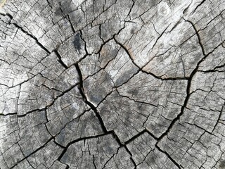 old wood texture