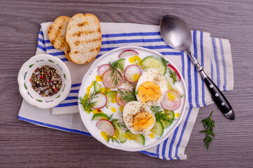 Cold soup with raw vegetables and eggs