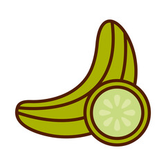 healthy food fresh vegetable cucumber raw ingredient line and fill style icon