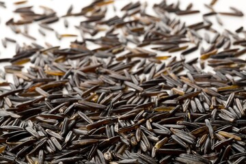 Macro close up of uncooked, raw, black wild rice grains on white background