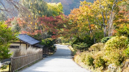 View of Arashiyama Gorge during autumn season at day time