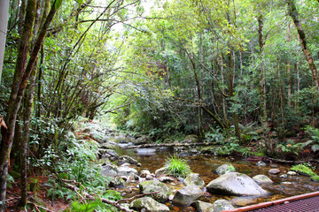 Washpool National Park, New South Wales, Australia. WIth creek, forest and rocks