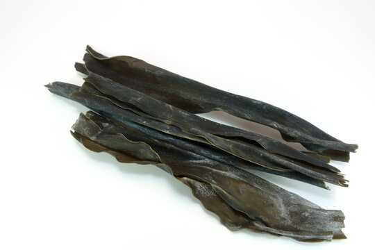 349 Best 出汁昆布images Stock Photos Vectors Adobe Stock