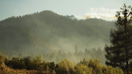Bush fire forest smoke, with firefighting airplane dropping red fire retardant