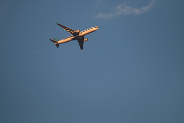 airplane in the sky