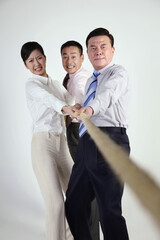 Business people tugging rope