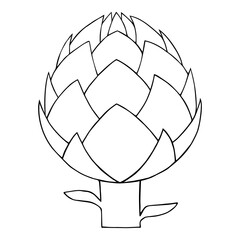 Artichoke hand drawn contour One artichoke vegetable