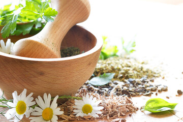 Fresh and dried herbs in wooden mortar