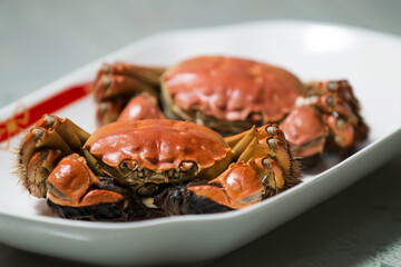 crab on a plate
