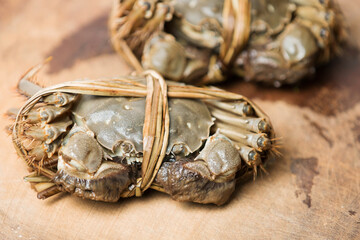 hairy crab on a wooden background