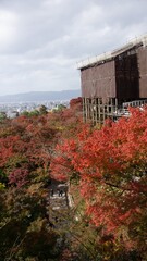 Kyoto pagoda and temple during autumn season in day time