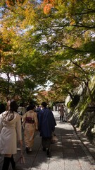 Autumn foliage in Kyoto, Japan