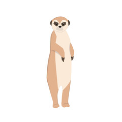 Fototapeta premium Meerkat Illustration