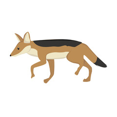 Jackal Illustration