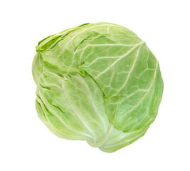 cabbage isolated on white background ,Green leaves pattern