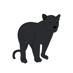 Black Leopard Illustration