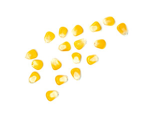 corn seeds isolated on white background