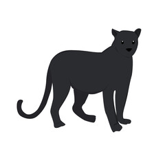 Black Leopard  Illustration