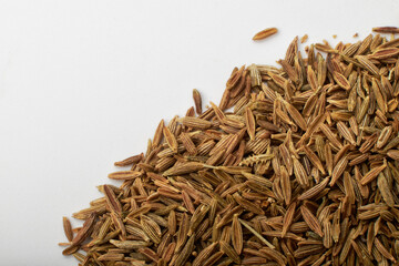 Paddy isolated on a white background, photography