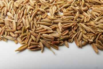 Paddy isolated on a white background, photography