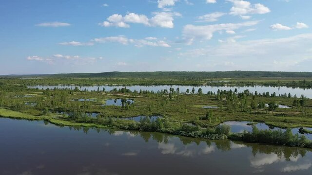 Bird's-eye view of the Arctic tundra in summer in Siberia