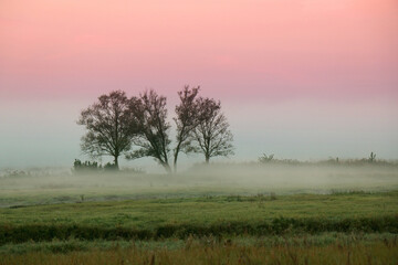 Obraz na płótnie Canvas Colorful sunrise by the field, Poland.