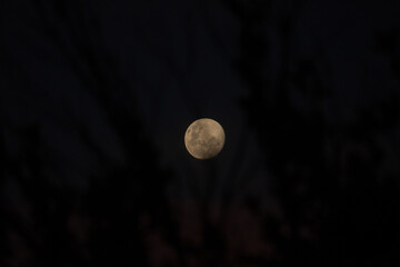 full moon in the night
