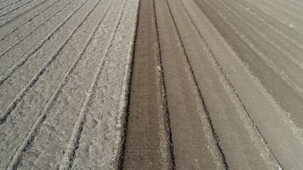 Planter planting peas on farm, North China