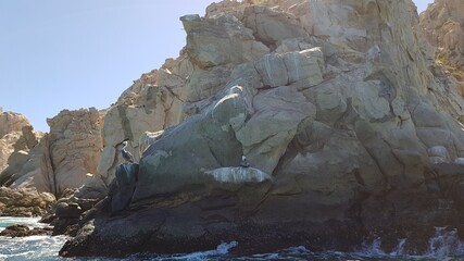 Vacations
