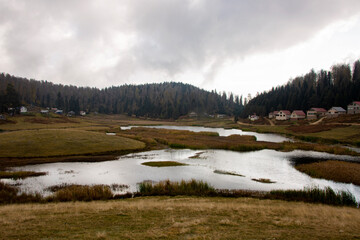 Beautiful landscape of autumn trees in rural area