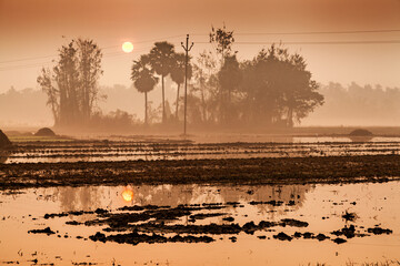 Beautiful foggy or misty landscape with sunrise and morning golden lights