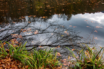 Beautiful landscape of autumn trees in rural area