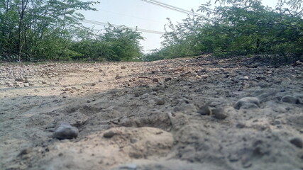 dirt road in the forest