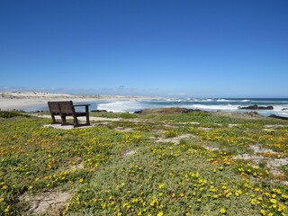 West Coast National Park, Cape Town, South Africa