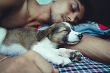 A cute little dog sleeping with his owner in his arms