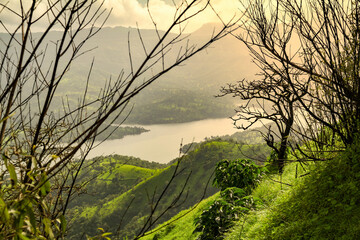 Fototapety na wymiar - Fototapeta24.pl