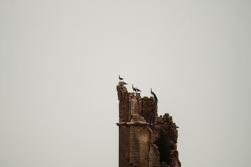  old watchtower