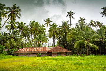 Tropical Indian village with coconut palm trees at kerala, india - obrazy, fototapety, plakaty