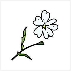 Wildflowers.Vector illustration on a white and colored background. Pattern.