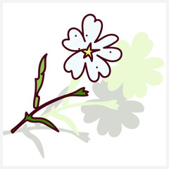 Wildflowers.Vector illustration on a white and colored background.Seamless pattern.